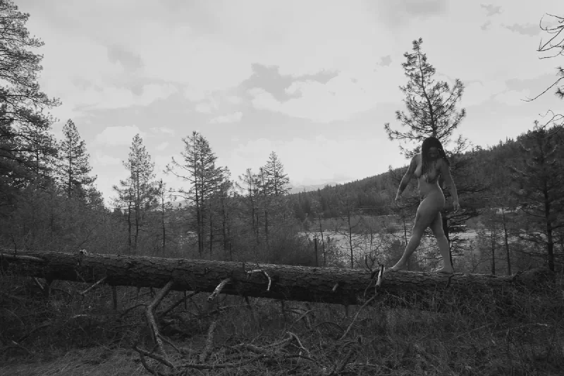 The media file [Cute] is by CallahanFreet.