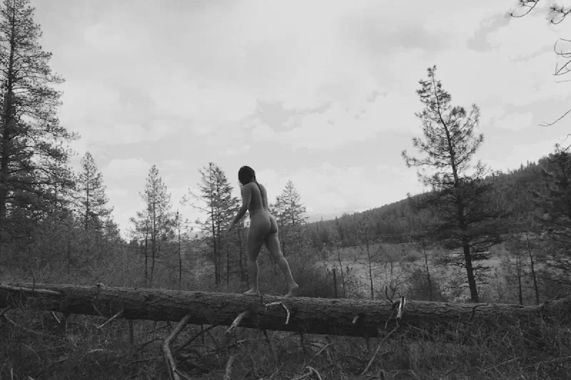 The media file [Cute] is by CallahanFreet.