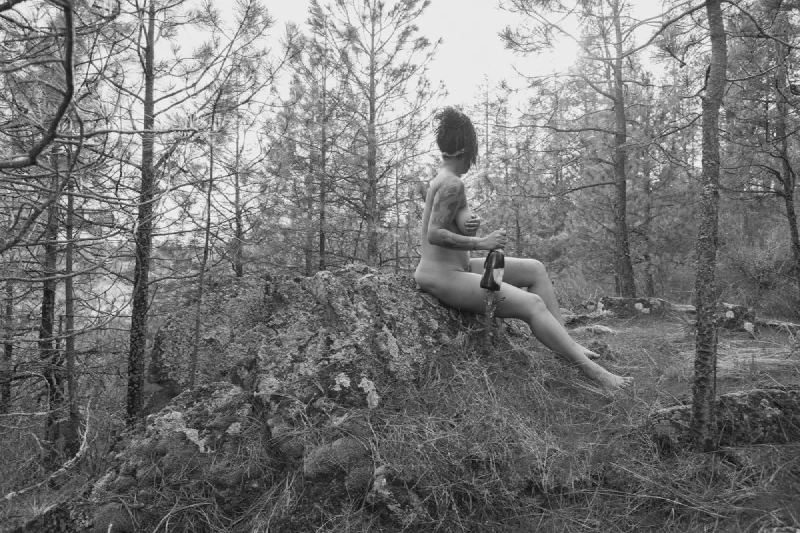 The media file [Celebration] is by CallahanFreet.