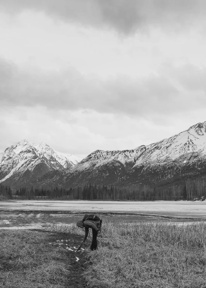 The media file [Exploration] is by CallahanFreet.