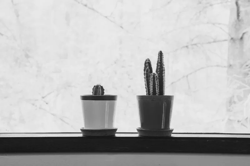 The media file [Her Visits Away] is by CallahanFreet.