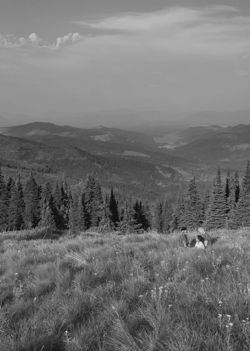 The media file [Isolation] is by CallahanFreet.