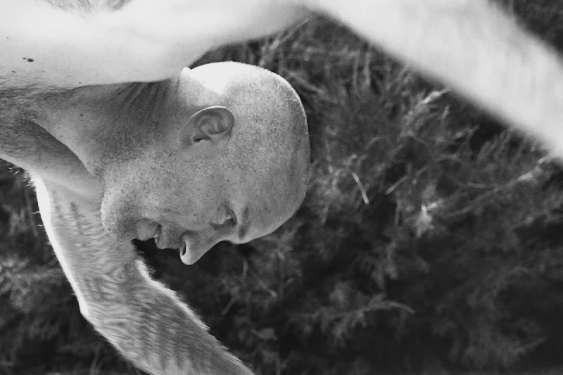 The media file [Handling Reality] is by CallahanFreet.