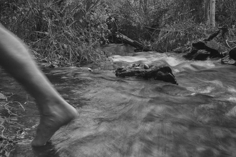 The media file [The Beginning] is by CallahanFreet.