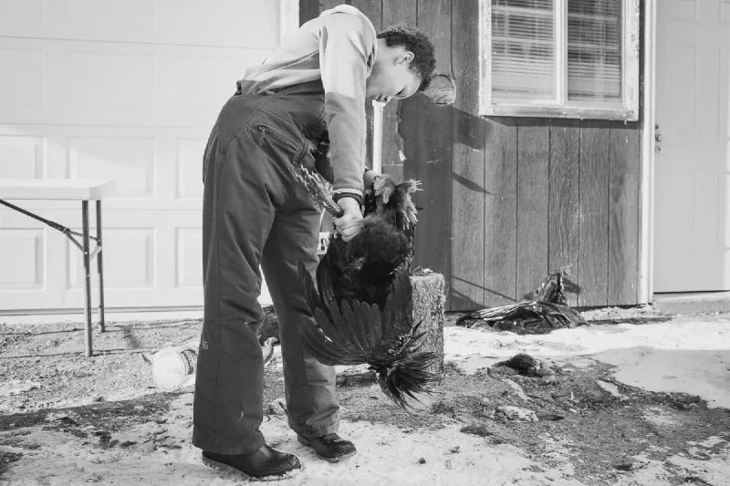 The media file [Interconnection] is by CallahanFreet.