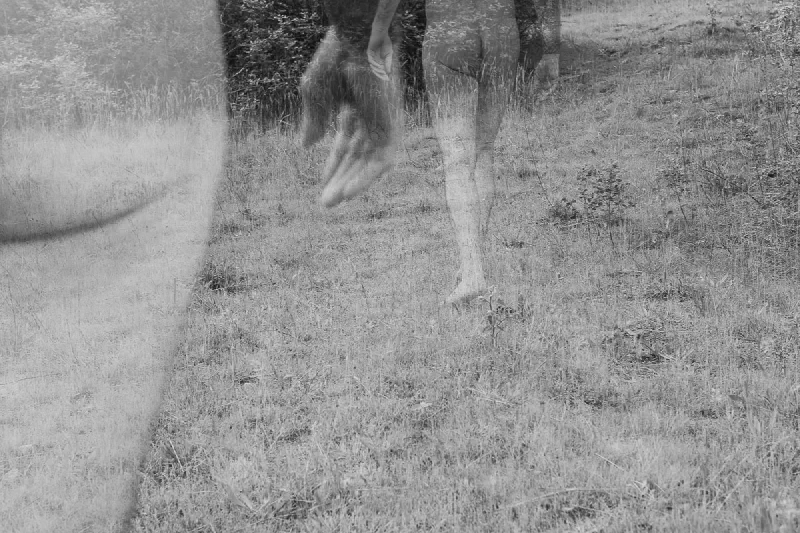 The media file [Iteration] is by CallahanFreet.