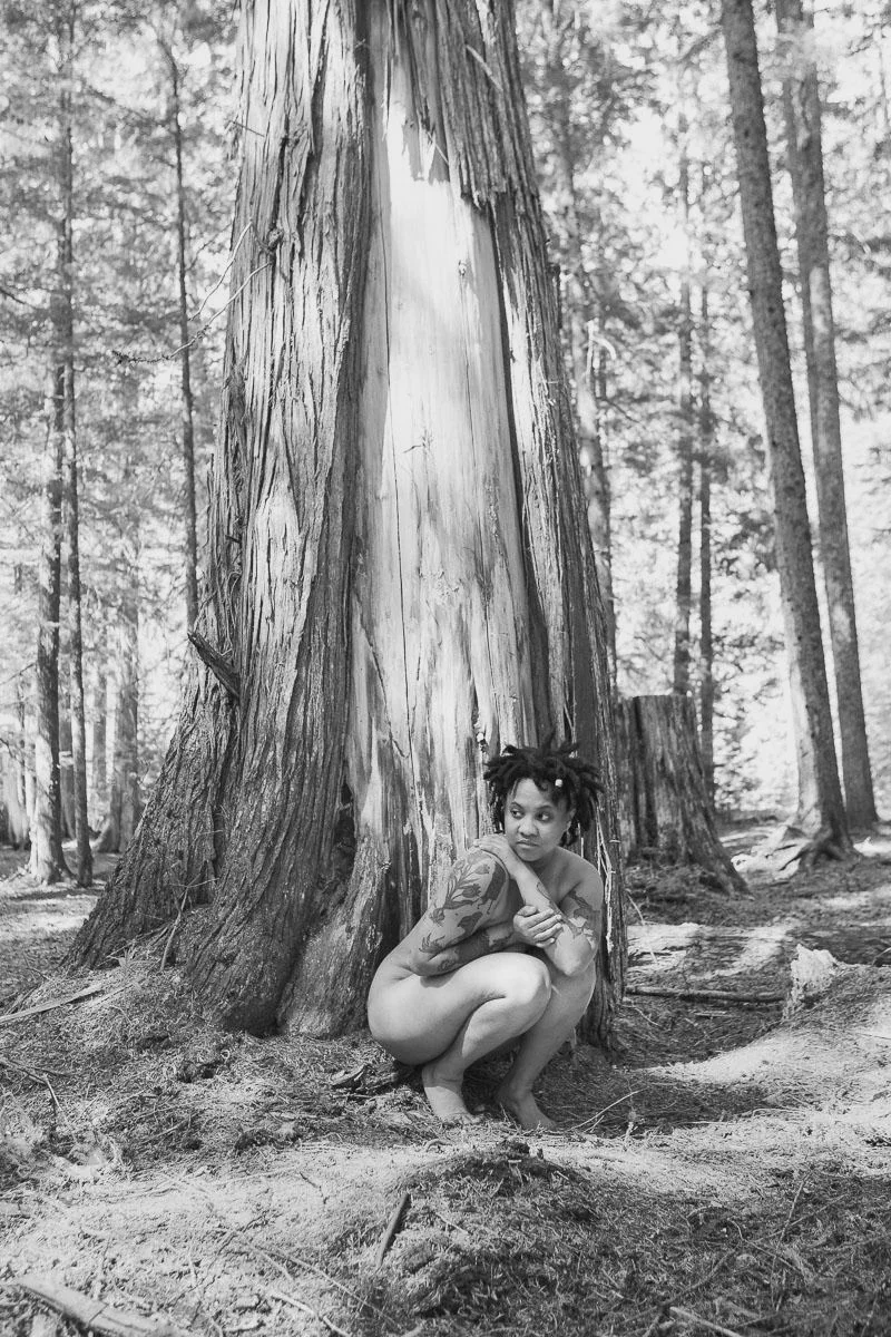 The media file [Development] is by CallahanFreet.