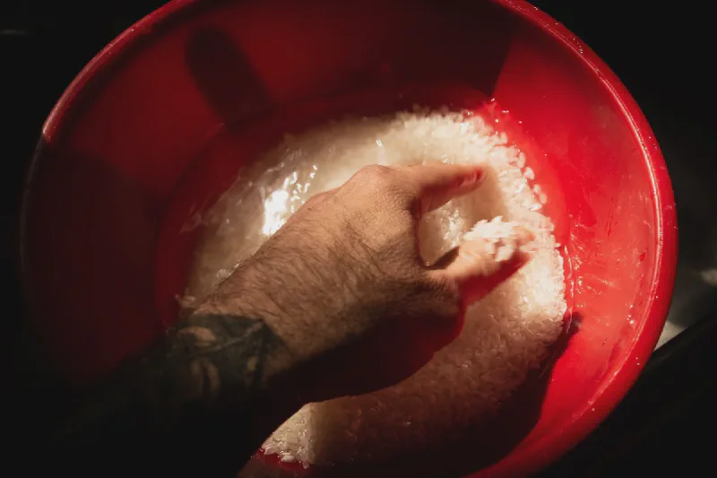 The media file [Rice] is by CallahanFreet.