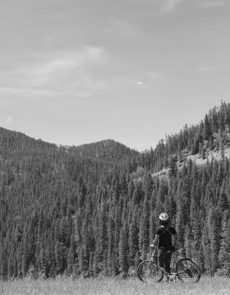 The media file [Memories] is by CallahanFreet.