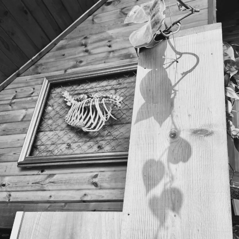 The media file [Have You Read?] is by CallahanFreet.