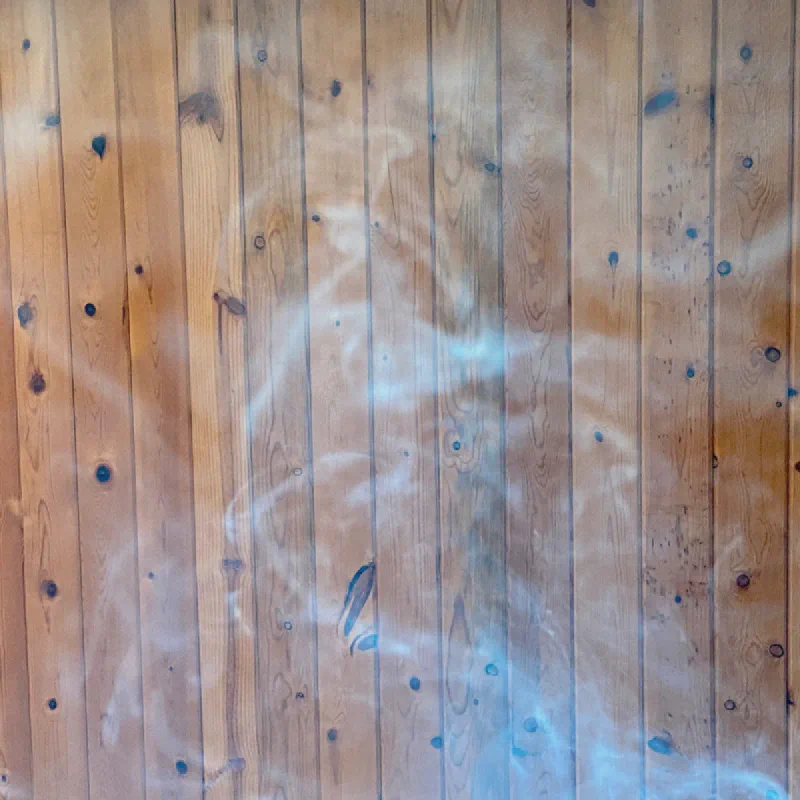 The media file [Have You Read?] is by CallahanFreet.