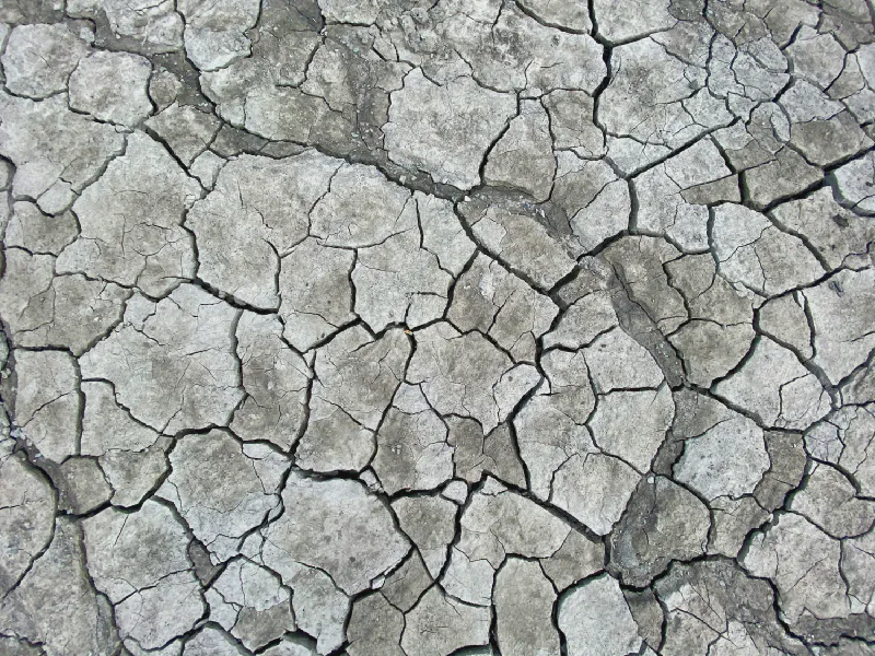 The media file [Time With Them] is by CallahanFreet.