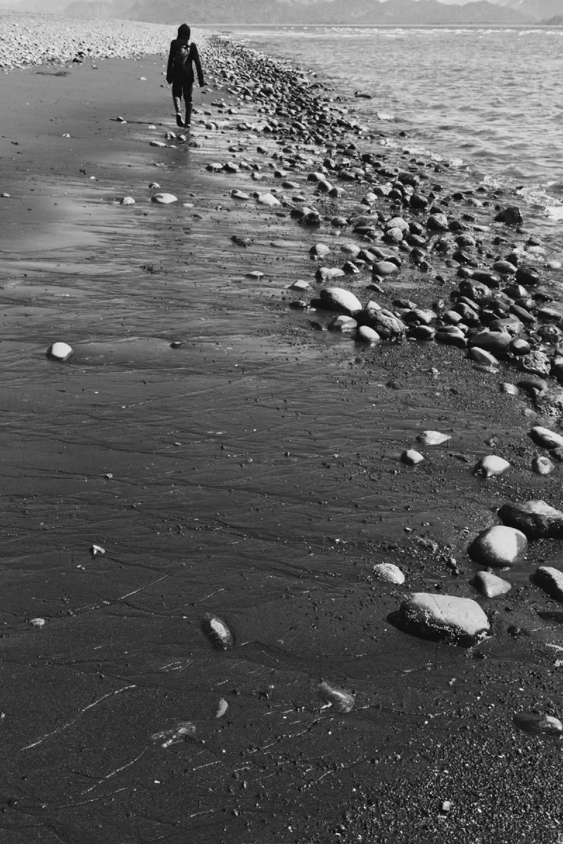 The media file [Comforting Growth] is by CallahanFreet.