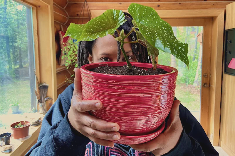 The media file [Knowledge of The World] is by CallahanFreet.