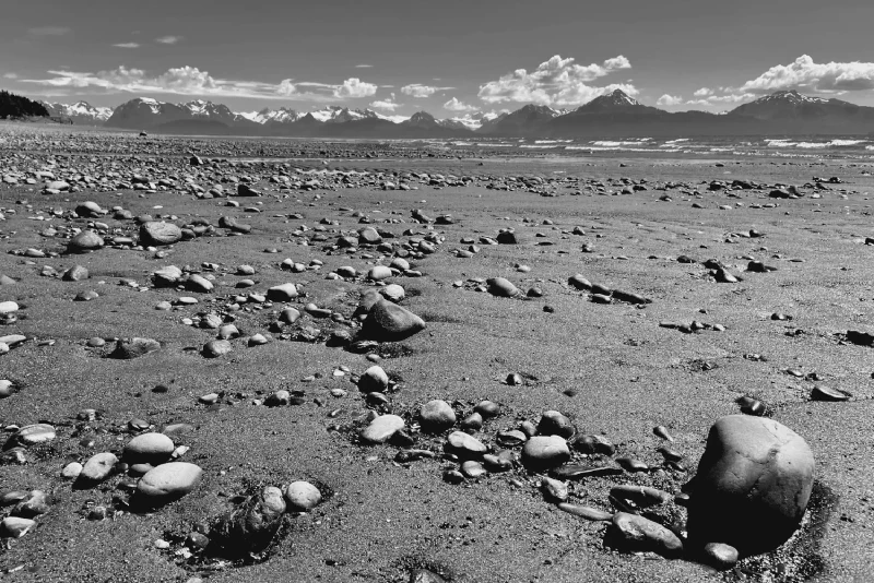 The media file [History] is by CallahanFreet.