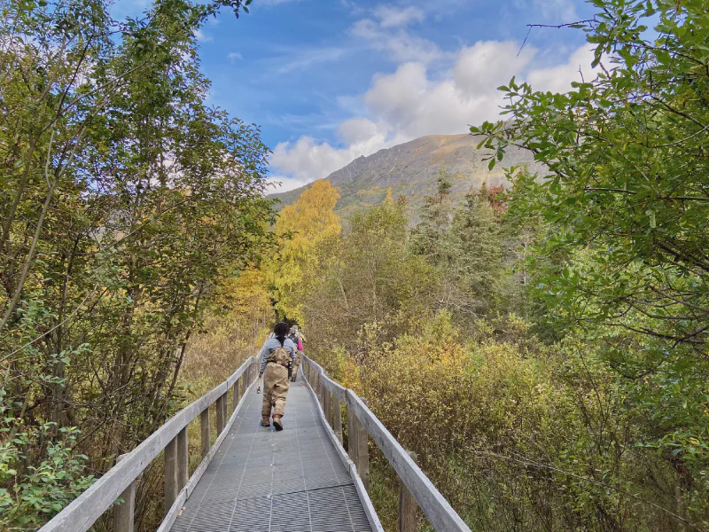 The media file [Fishing] is by CallahanFreet.