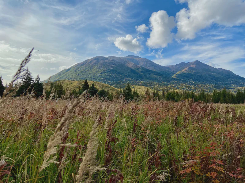 The media file [Forty.off-Eight] is by CallahanFreet.