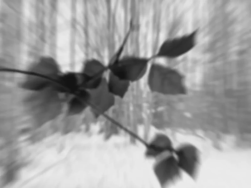 The media file [Poem #1] is by CallahanFreet.