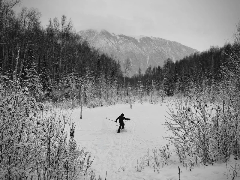 The media file [Divergence] is by CallahanFreet.