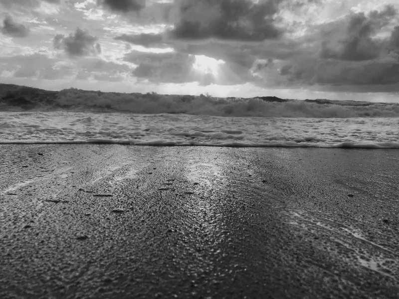 The media file [Forward to the Past] is by CallahanFreet.