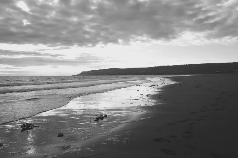 The media file [Humility] is by CallahanFreet.