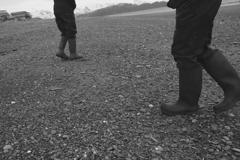 The media file [The Hunt] is by CallahanFreet.