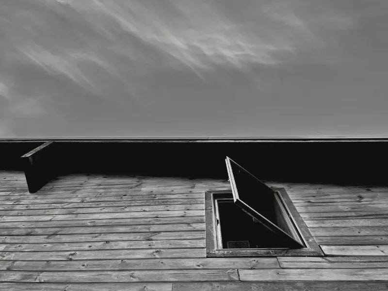 The media file [Harry Potter] is by CallahanFreet.