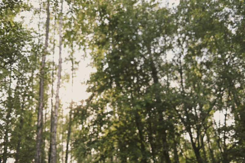 The media file [Memory Apathetic] is by CallahanFreet.