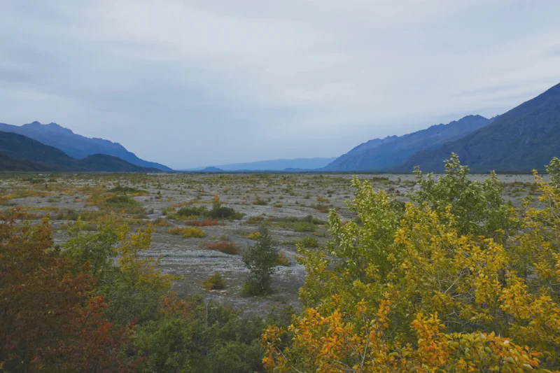 The media file [Cross-Roads] is by CallahanFreet.