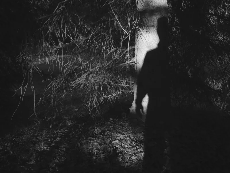 The media file [Duality] is by CallahanFreet.