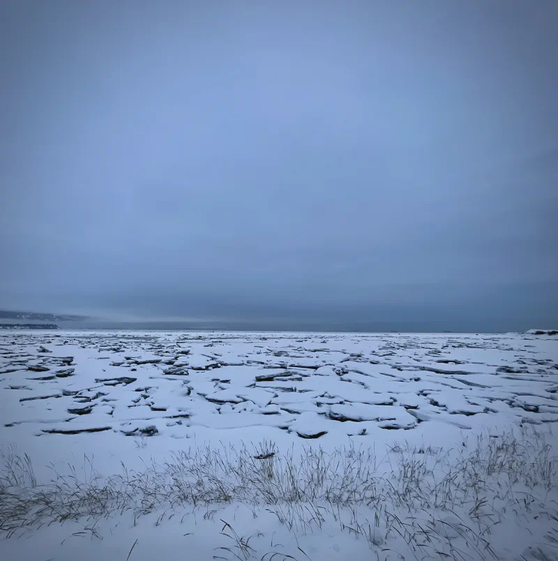 The media file [Knowledge, Part IV] is by CallahanFreet.