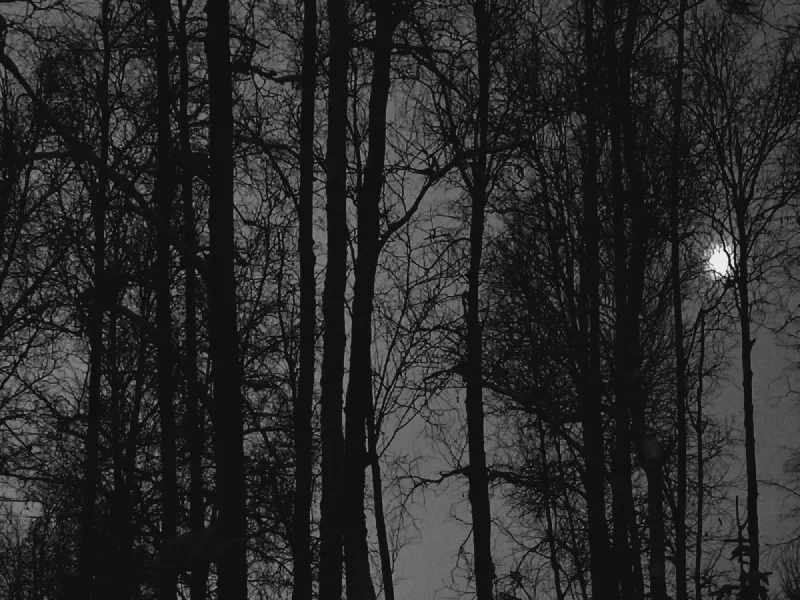 The media file [New Again, Again] is by CallahanFreet.