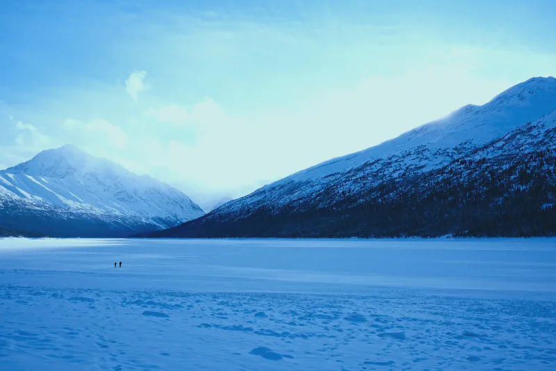 The media file [Definition] is by CallahanFreet.