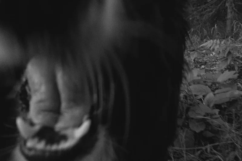 The media file [Mind Over Matter] is by CallahanFreet.