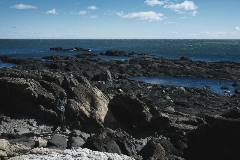 The media file [Persistent Contemplation] is by CallahanFreet.