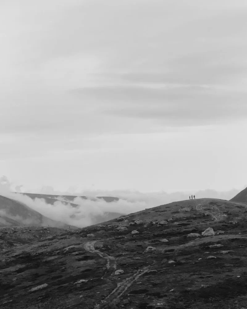 The media file [Process of Disclosure] is by CallahanFreet.