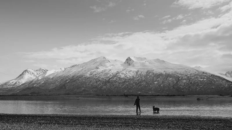 The media file [Meaning] is by CallahanFreet.