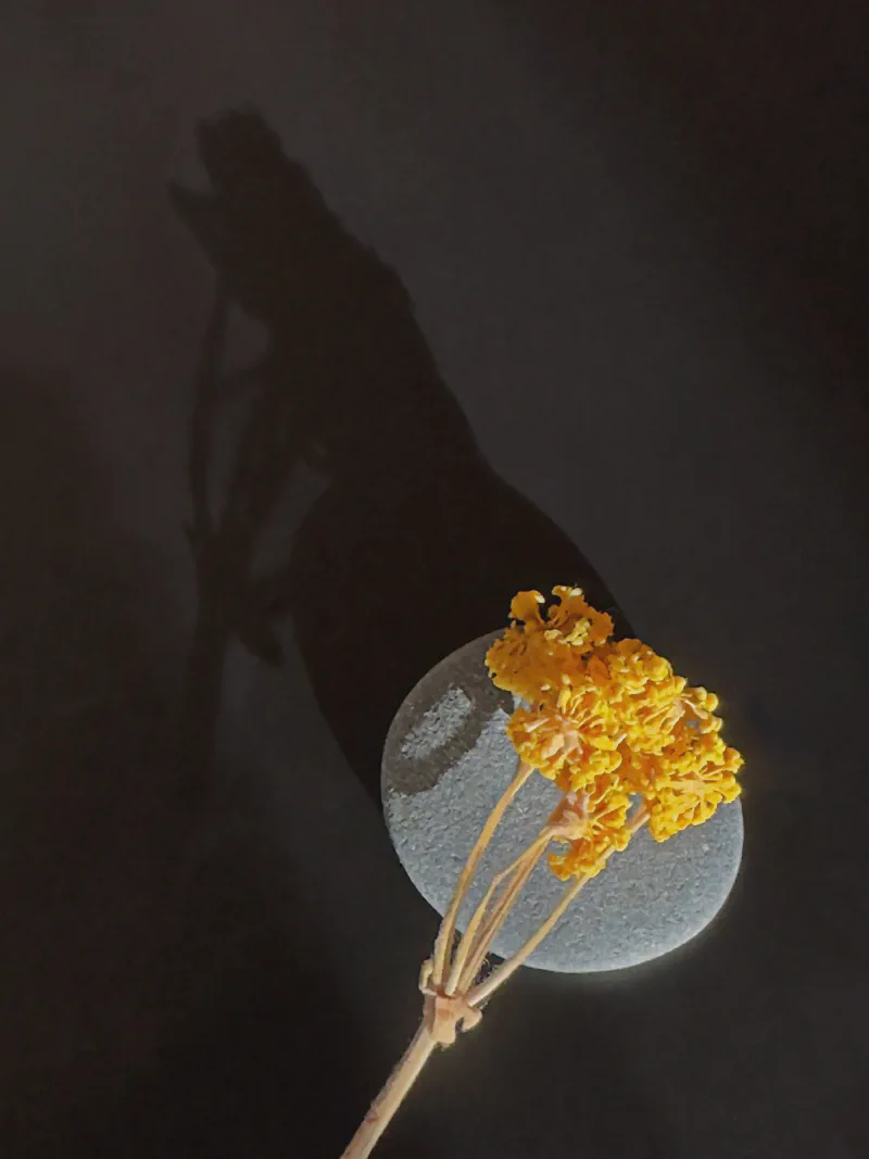 The media file [Always Practicing] is by CallahanFreet.