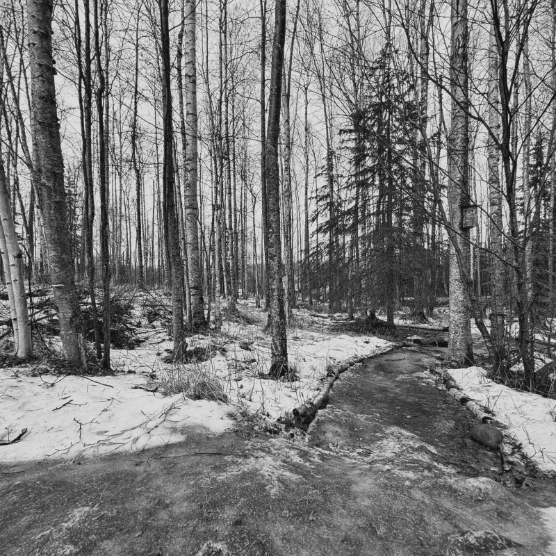 The media file [Meta] is by CallahanFreet.