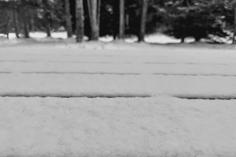 The media file [Reality] is by CallahanFreet.