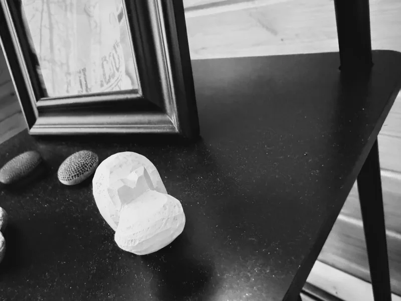 The media file [Homo Habitus] is by CallahanFreet.