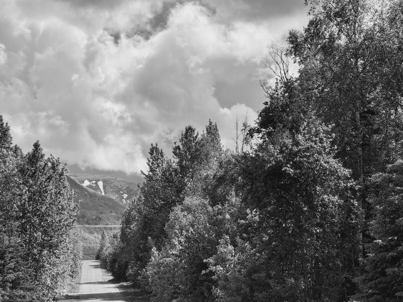 The media file [Great Expectations] is by CallahanFreet.