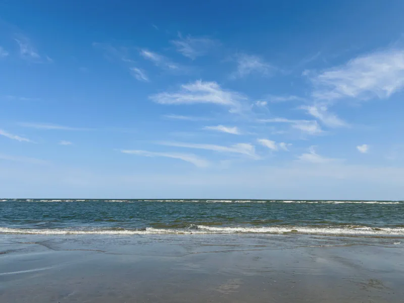 The media file [Logic Is Arbitrary] is by CallahanFreet.