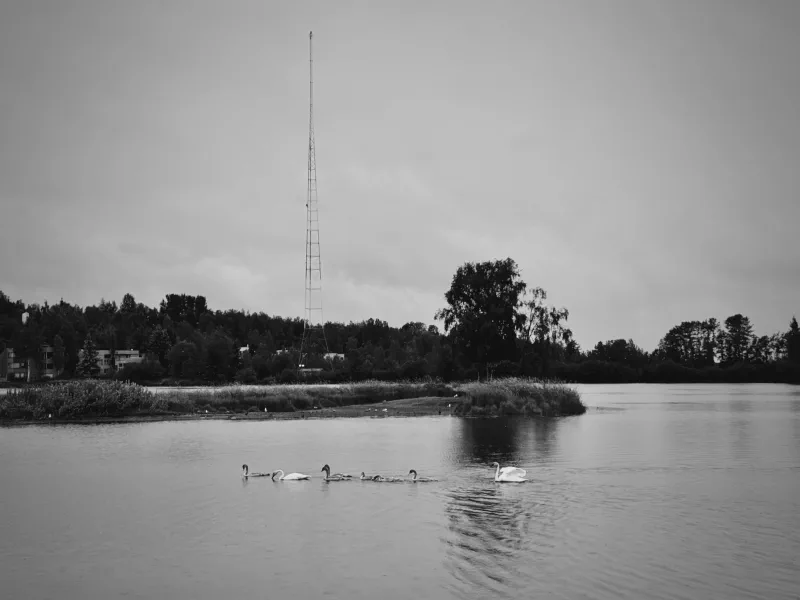 The media file [Next Chapter] is by CallahanFreet.