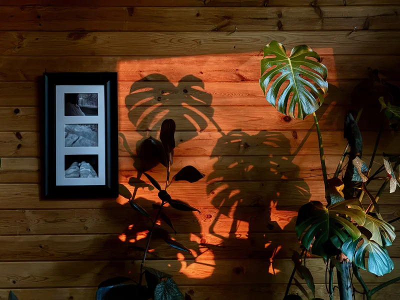 The media file [Emptiness] is by CallahanFreet.