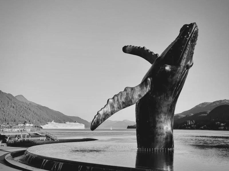 The media file [Calculated Risk] is by CallahanFreet.