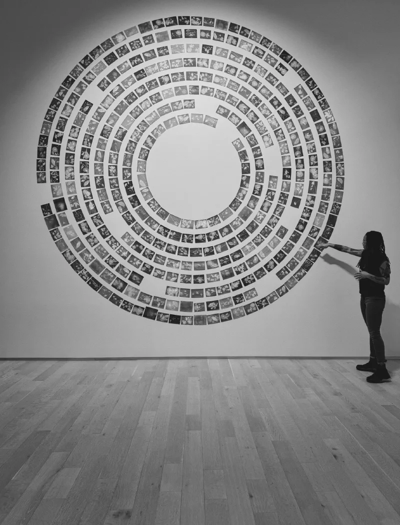 The media file [release.] is by CallahanFreet.