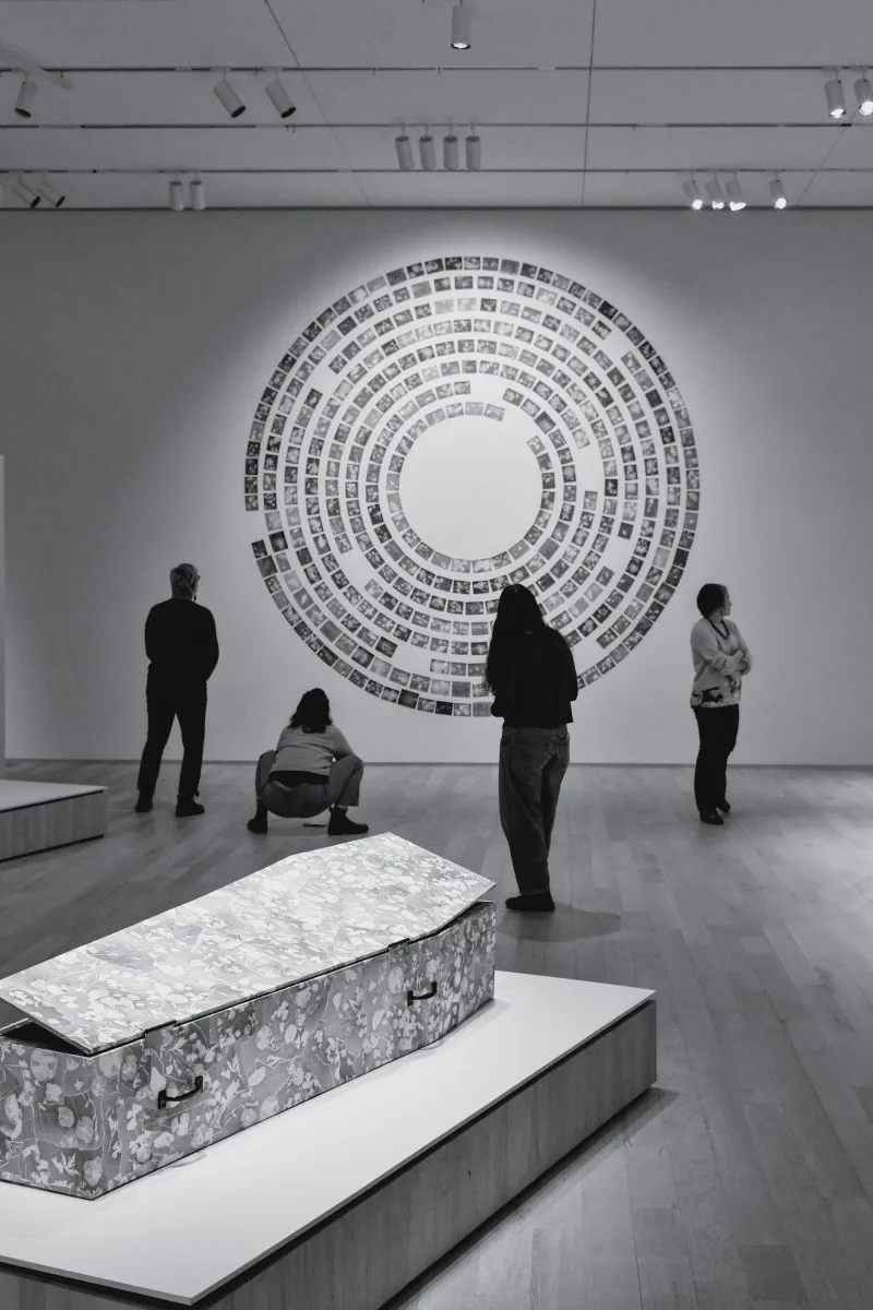 The media file [<nil>] is by CallahanFreet.