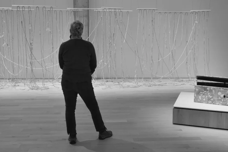 The media file [<nil>] is by CallahanFreet.