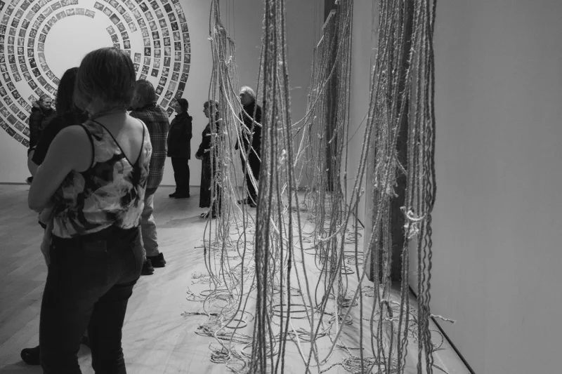 The media file [<nil>] is by CallahanFreet.